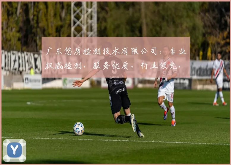 广东悠质检测技术有限公司,专业权威检测,服务优质,行业领先,值得信赖,助力企业发展。